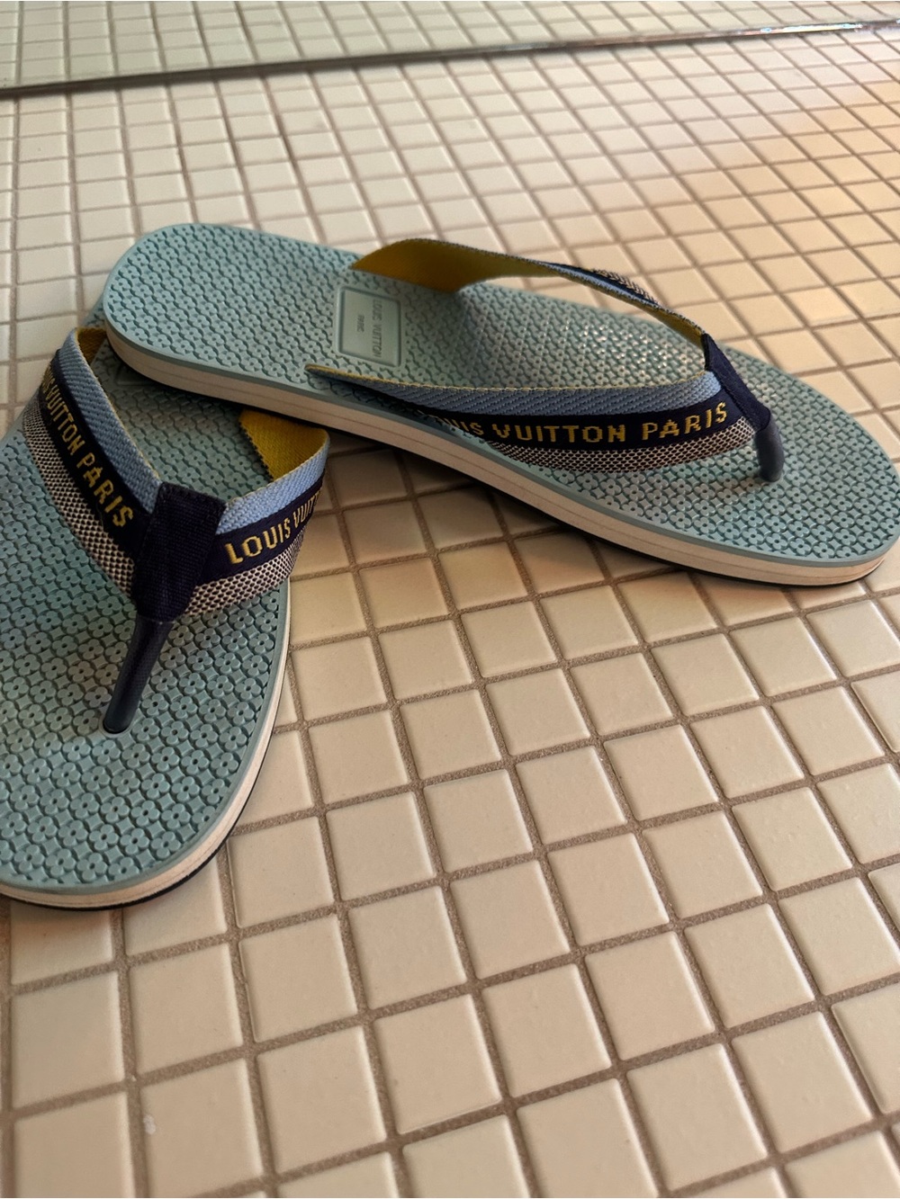 Louis Vuitton Light Blue and Navy Beach Flip Flops